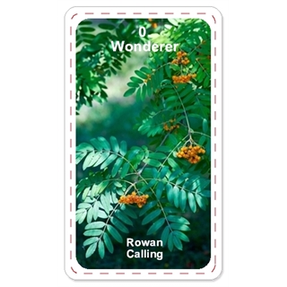Tree Spirit Tarot